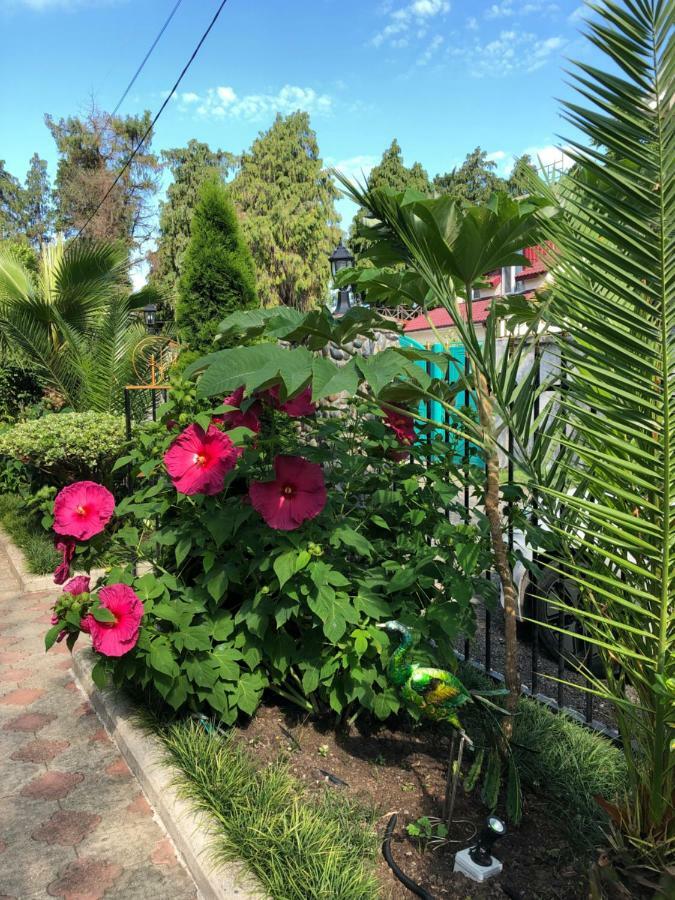 Villa Gardenia אורקי מראה חיצוני תמונה